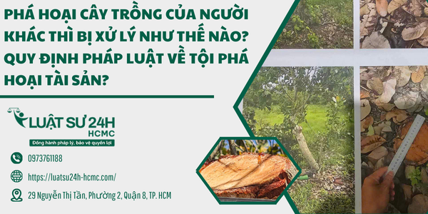 Quy định pháp luật về phá hoại tài sản